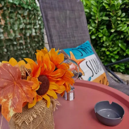 Vesna Apartment Pinezići