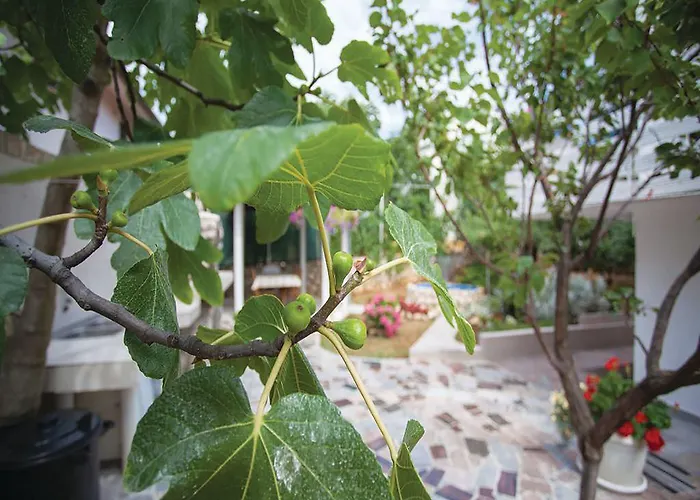 Apartamento Vesna